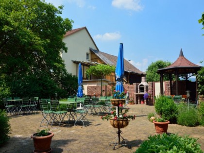 Foto: Gr&amp;uuml;ner Baum